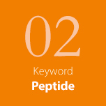 02 Keyword Peptide