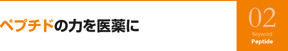 ペプチドの力を医薬に