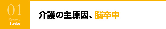 介護の主原因、脳卒中