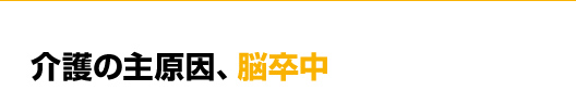 介護の主原因、脳卒中